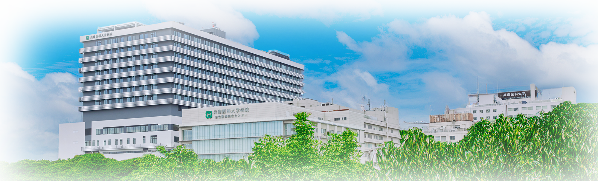 兵庫医科大学医学部